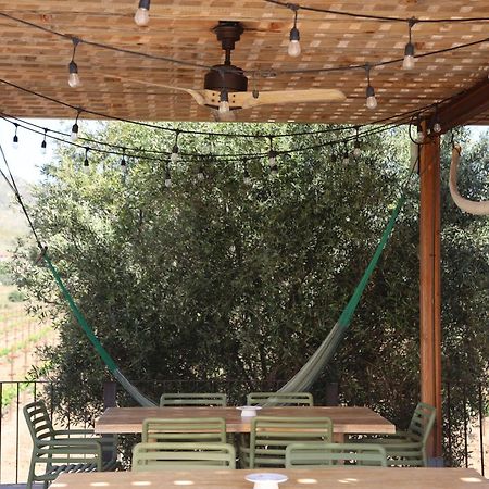 Alma Liebre Vinedos Del Valle Valle de Guadalupe Esterno foto