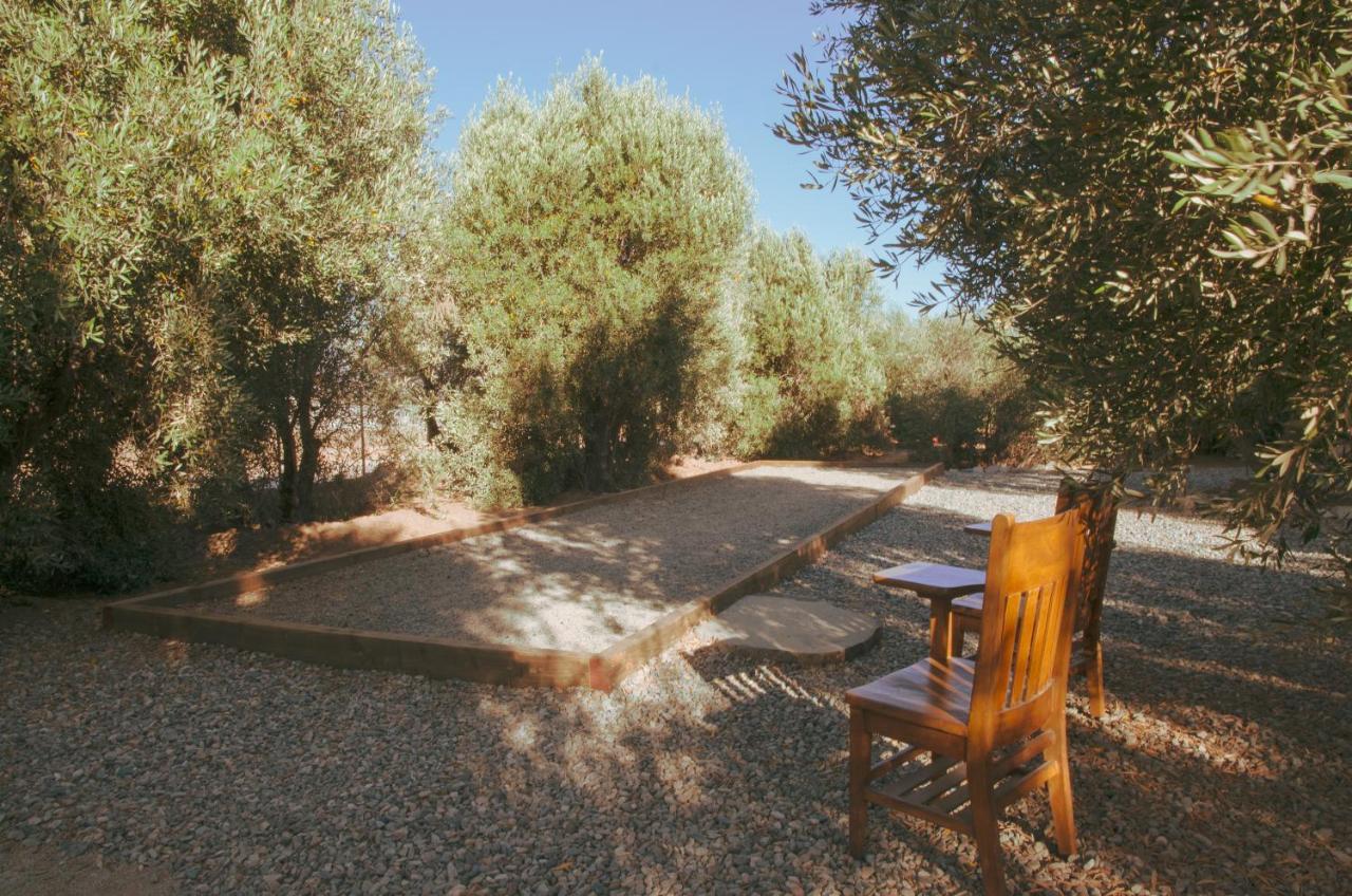 Alma Liebre Vinedos Del Valle Valle de Guadalupe Esterno foto