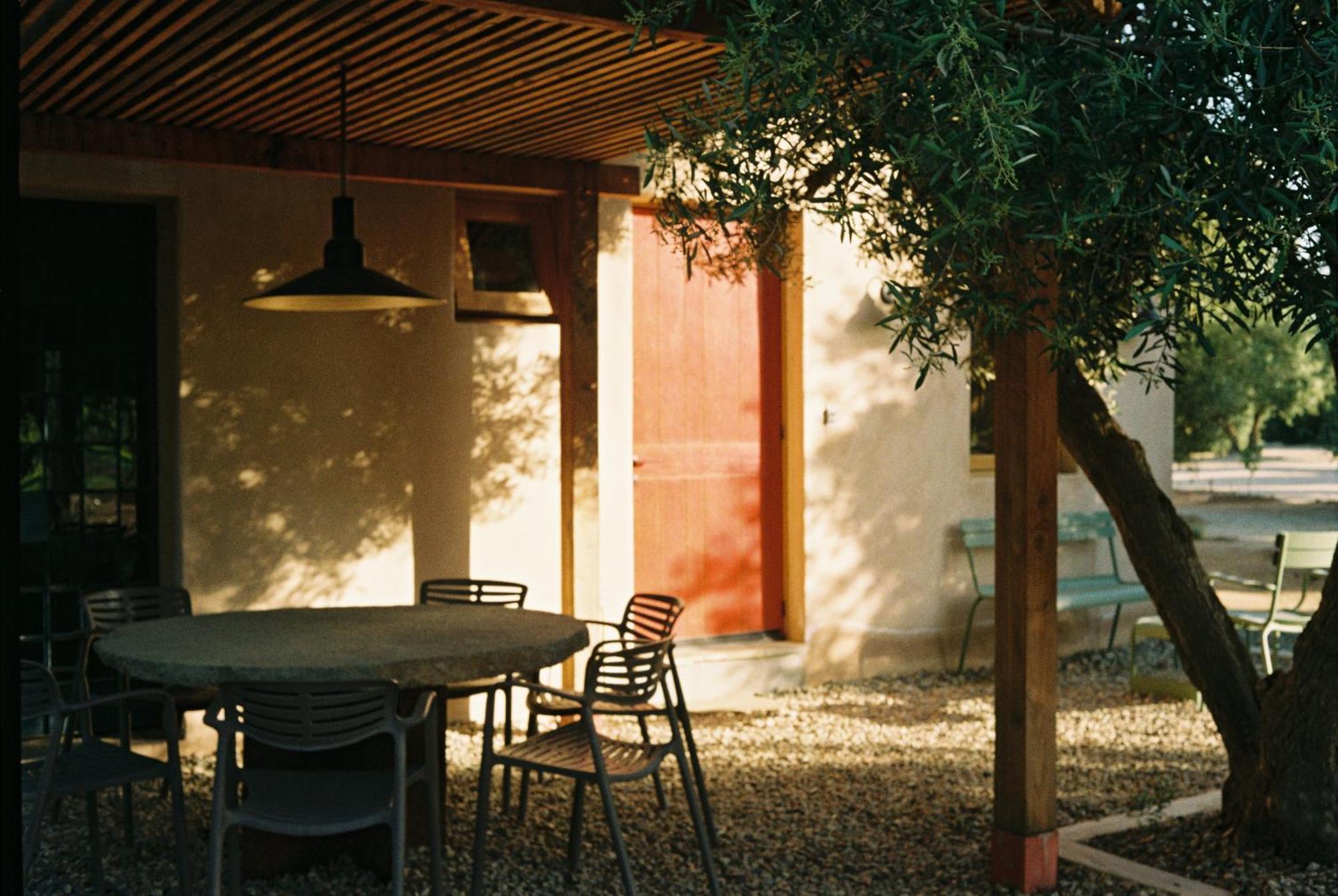Alma Liebre Vinedos Del Valle Valle de Guadalupe Esterno foto