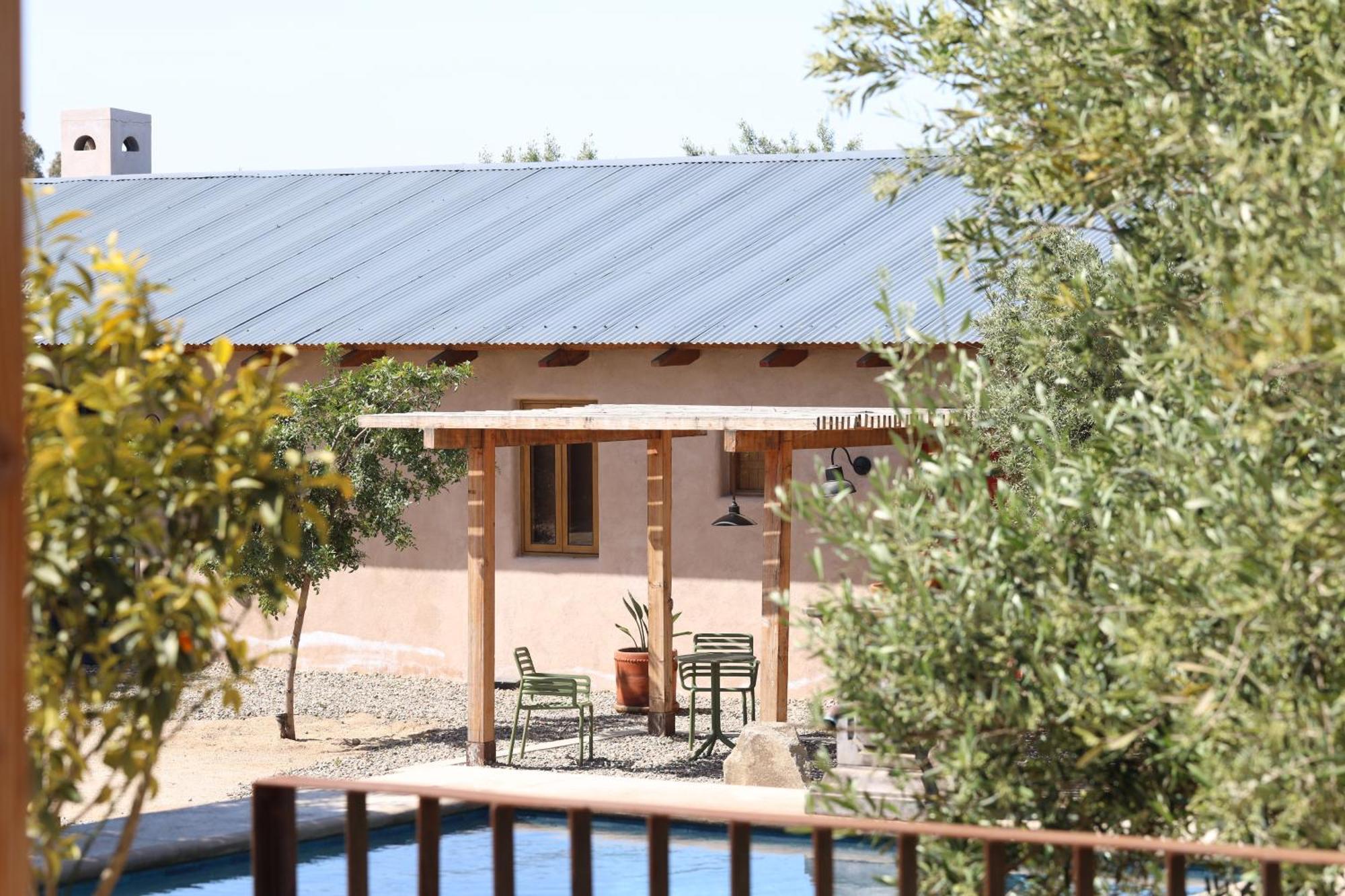 Alma Liebre Vinedos Del Valle Valle de Guadalupe Esterno foto
