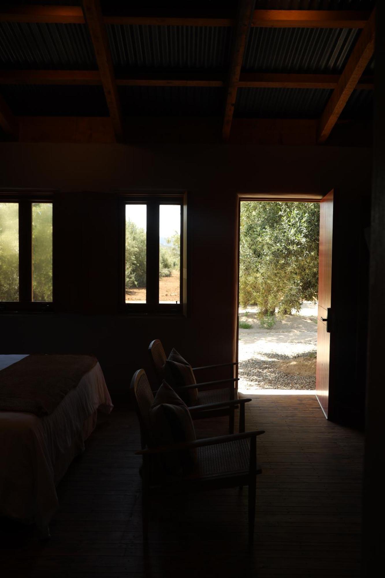 Alma Liebre Vinedos Del Valle Valle de Guadalupe Esterno foto