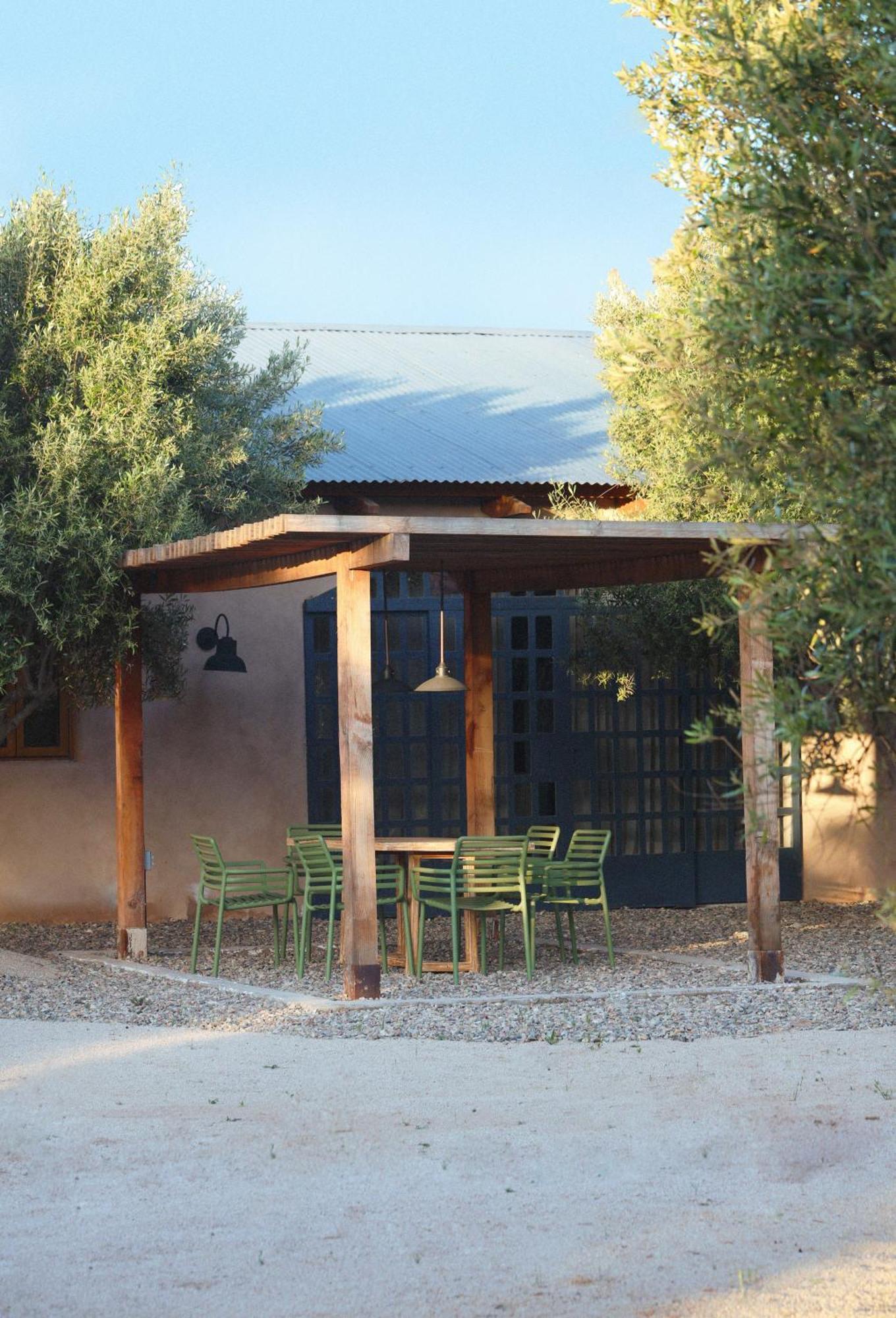 Alma Liebre Vinedos Del Valle Valle de Guadalupe Esterno foto
